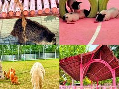 -渔岛海洋度假区