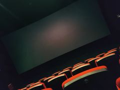 -万达影城(闵行颛桥万达广场杜比影院店)