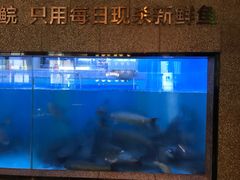 -淘米捞·米汤脆鲩鱼火锅(福田皇岗店)