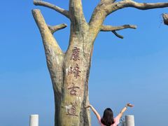 -长沙黑麋峰国家森林公园