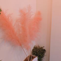 -WEIM.唯蜜美妆工作室