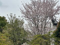 -堤角公园