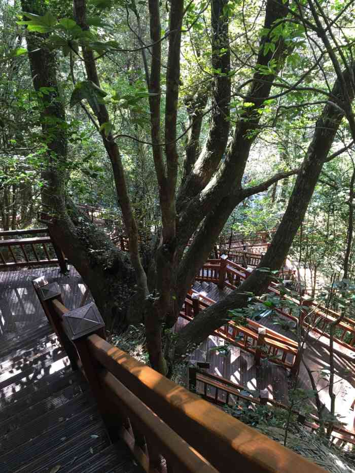 顿乃克公园-"这个没去,有一段距离,济州岛不大.没去过.