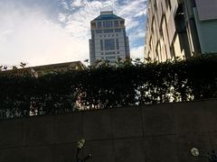 -南京鼓楼医院(鼓楼本部)