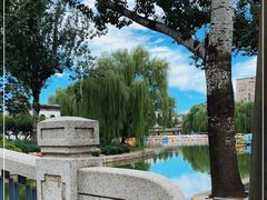 -团结湖公园