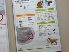 -瑞鹏宠物医院(城市山谷分院)