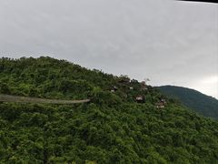 -三亚亚龙湾人间天堂鸟巢度假村