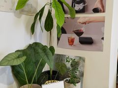 -纽巷咖啡 SOFTFOCUS COFFEE(锦和巴黎时韵店)