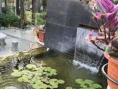 -蘇河湾·新鲁菜·泰山宴(泰山店)