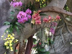 -北京植物园-展览温室