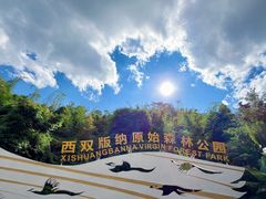-西双版纳原始森林公园