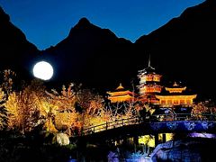 -禅宗少林·音乐大典