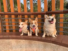 -茶米人台湾料理·精致快简餐