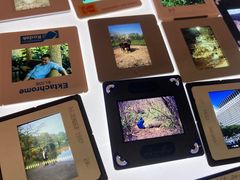 -狮虎桥路
