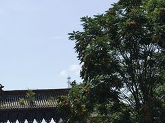 -玉泉观