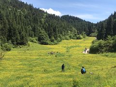 -武陵山森林公园
