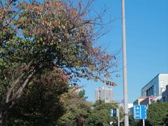 -台场海滨公园船码头