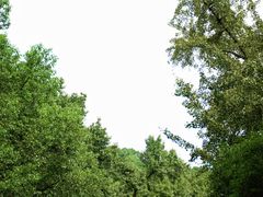 -宁波市保国寺古建筑博物馆