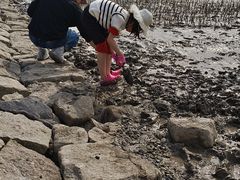 -上海南汇嘴大堤酒店