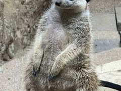 -大连圣亚海洋世界