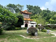-深圳仙湖植物园