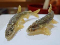 -Takiya Tempura