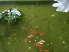 -源泰东南亚风味餐厅(太仓海运堤店)