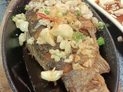 -老黑板筋(顺义总店)