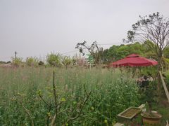 -洪湖家庭农场·团建·露营·会议