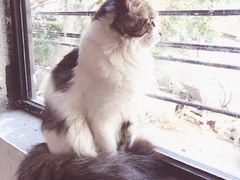 -五月木作·DIY木作文创体验店(北京路店)