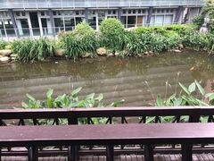 -活水公园