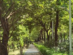-广东花都湖国家湿地公园