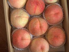 -南汇新场正宗水蜜桃采摘