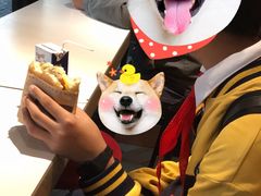 -肯德基(昌里店)