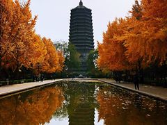 -玲珑塔公园
