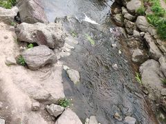 -重庆彩云湖湿地公园