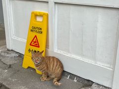 -南通博物苑-崇川人民公园