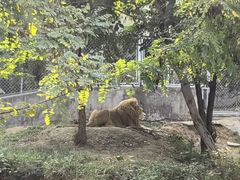 -石家庄市动物园