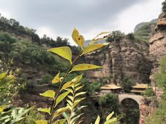 -苍岩山风景名胜区