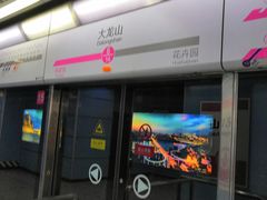 -大龙山(地铁站)