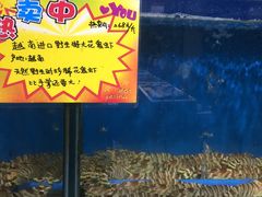 -蚝专家(北滘店)