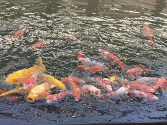 -邊渡咖啡
