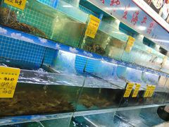 -坛南湾阿强农家乐.海鲜大排档老字号(福州地标美食店)
