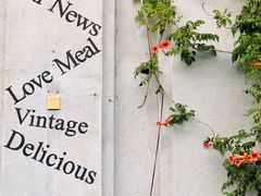 -百好乐宠物友好餐厅(朝外大街店)