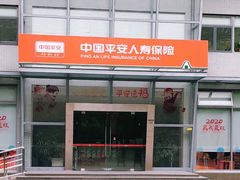 -平安人寿保险(上海市浦东新区浦东客户服务中心)
