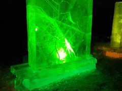 -长春公园(普阳街道)