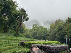 -敬亭山风景名胜区