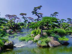 -罗红摄影艺术馆