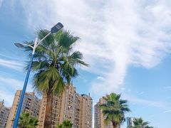 -水岸阳光