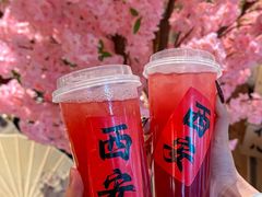 -袁山山重庆火锅(丈八北路店)